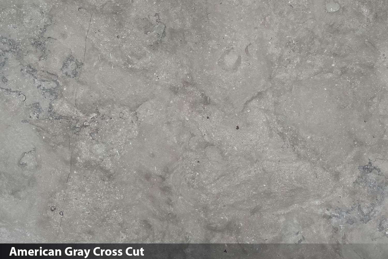 American Gray Cross Cut