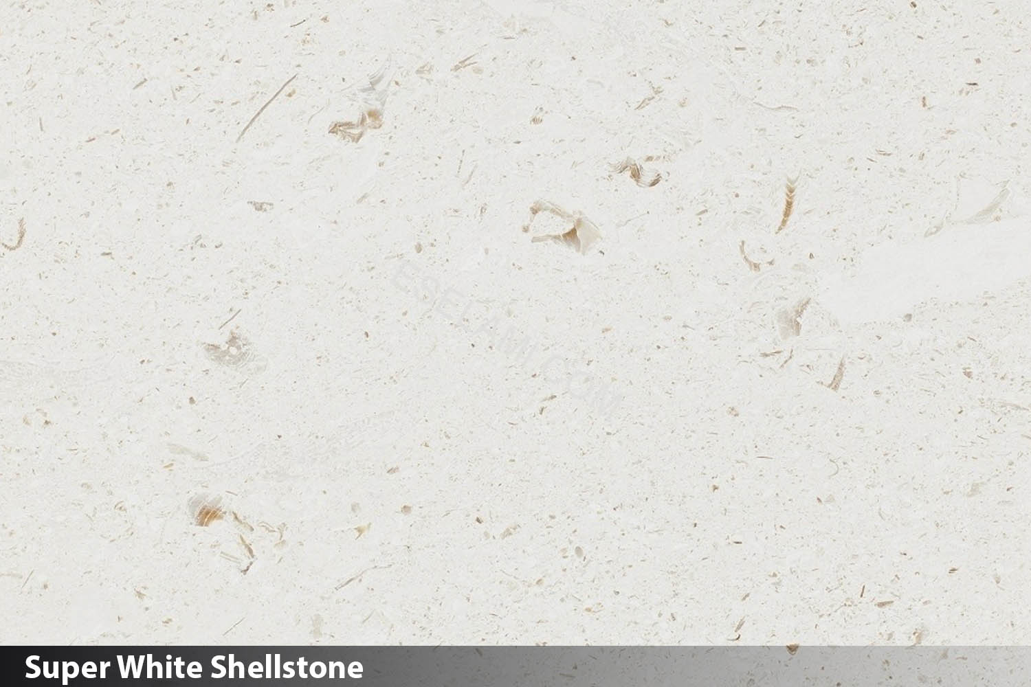 Super White Shellstone